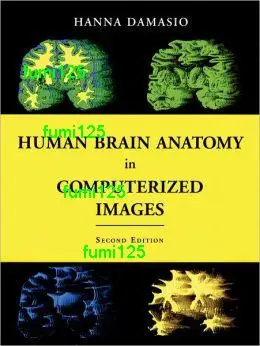Human Brain Anatomy in Computerized Images Edition 2 | Обустройство дома