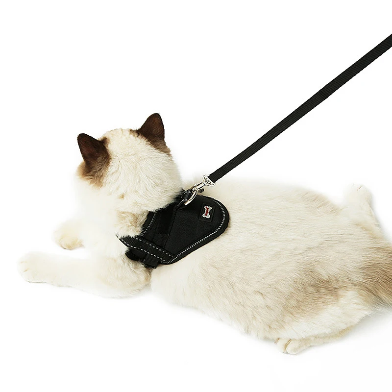 Harnesses-12-06