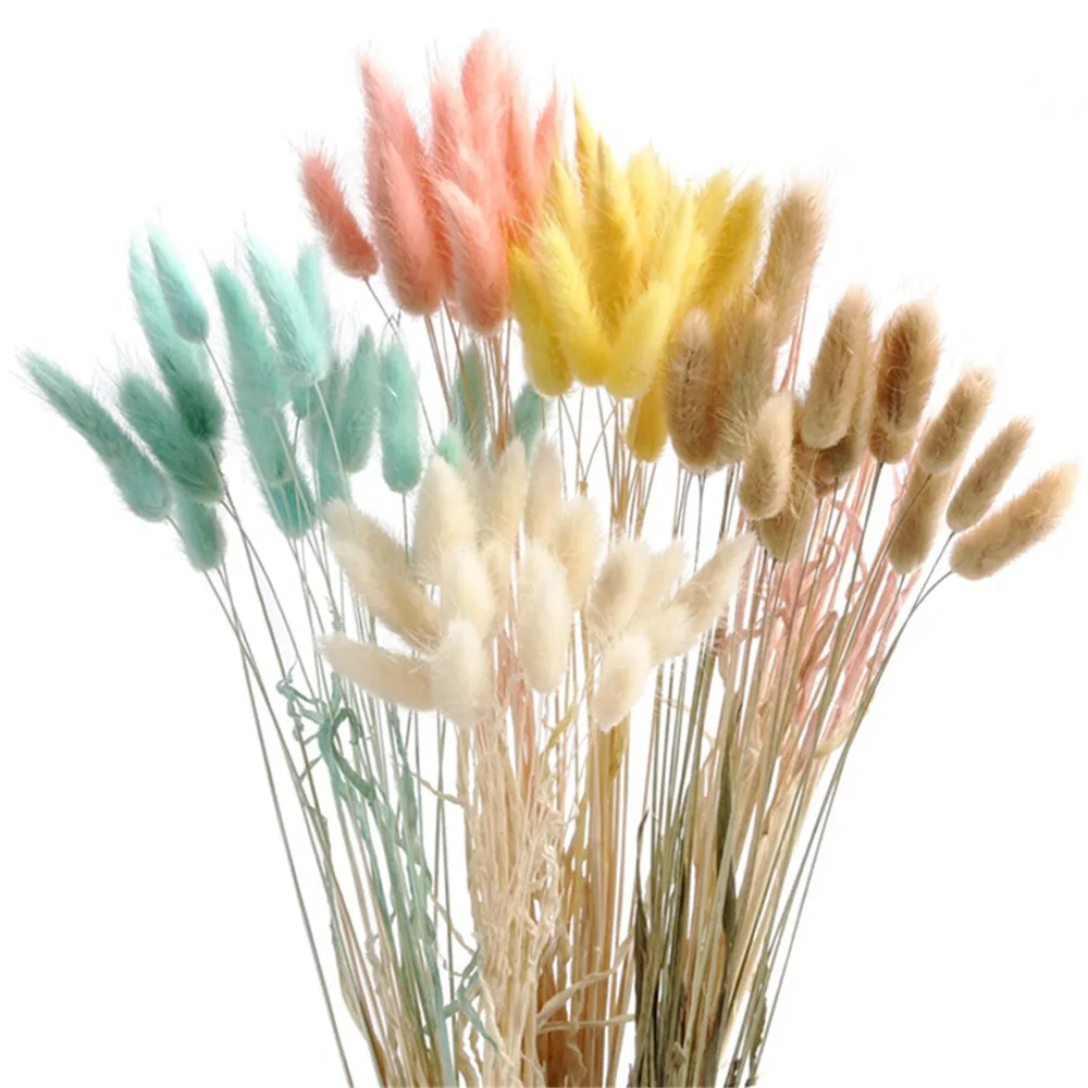 

50 pcs Natural Dried Small Pampas Grass Rabbit Dog Tail Grass Dry Bouquet Wedding Flower Bunch