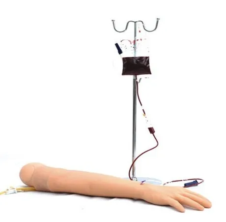 advanced venipuncture training arm model and intramuscular injection