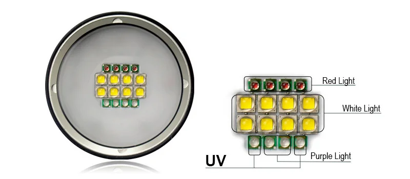 d36v (5)
