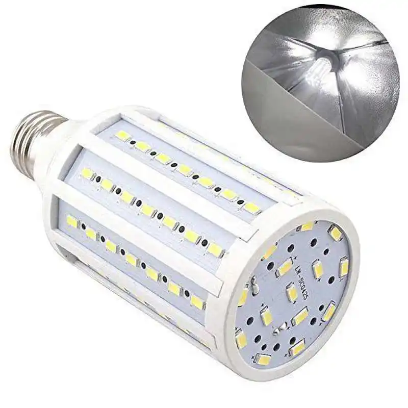 Buy High Bright Photo Studio Bulbs For Photography