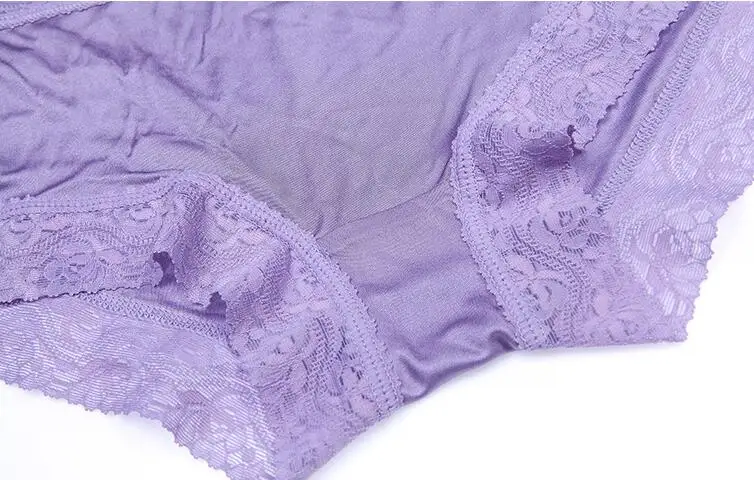 4 PACK Pure Silk Knit Women's Full Coverage Panties Underwear Lingerie Boyshort M L XL 2XL SS001