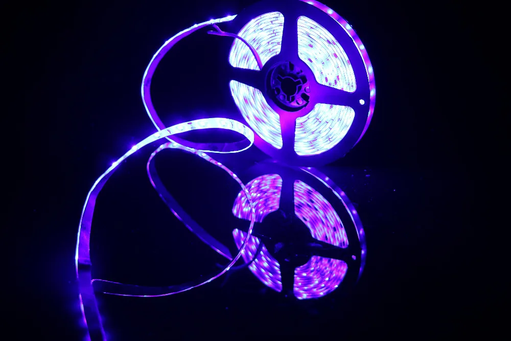 Marswal светодиодный DC12V 440nm-450nm аквариума актинический синий и фиолетовый Водонепроницаемый SMD2835 Светодиодные ленты свет для растений расти