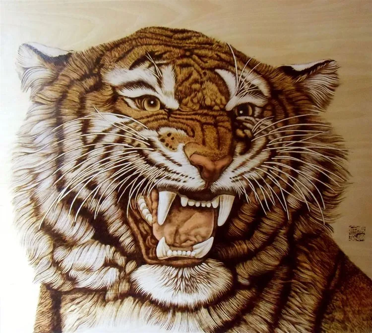 T2WJNaXLpXXXXXXXXX-698642056