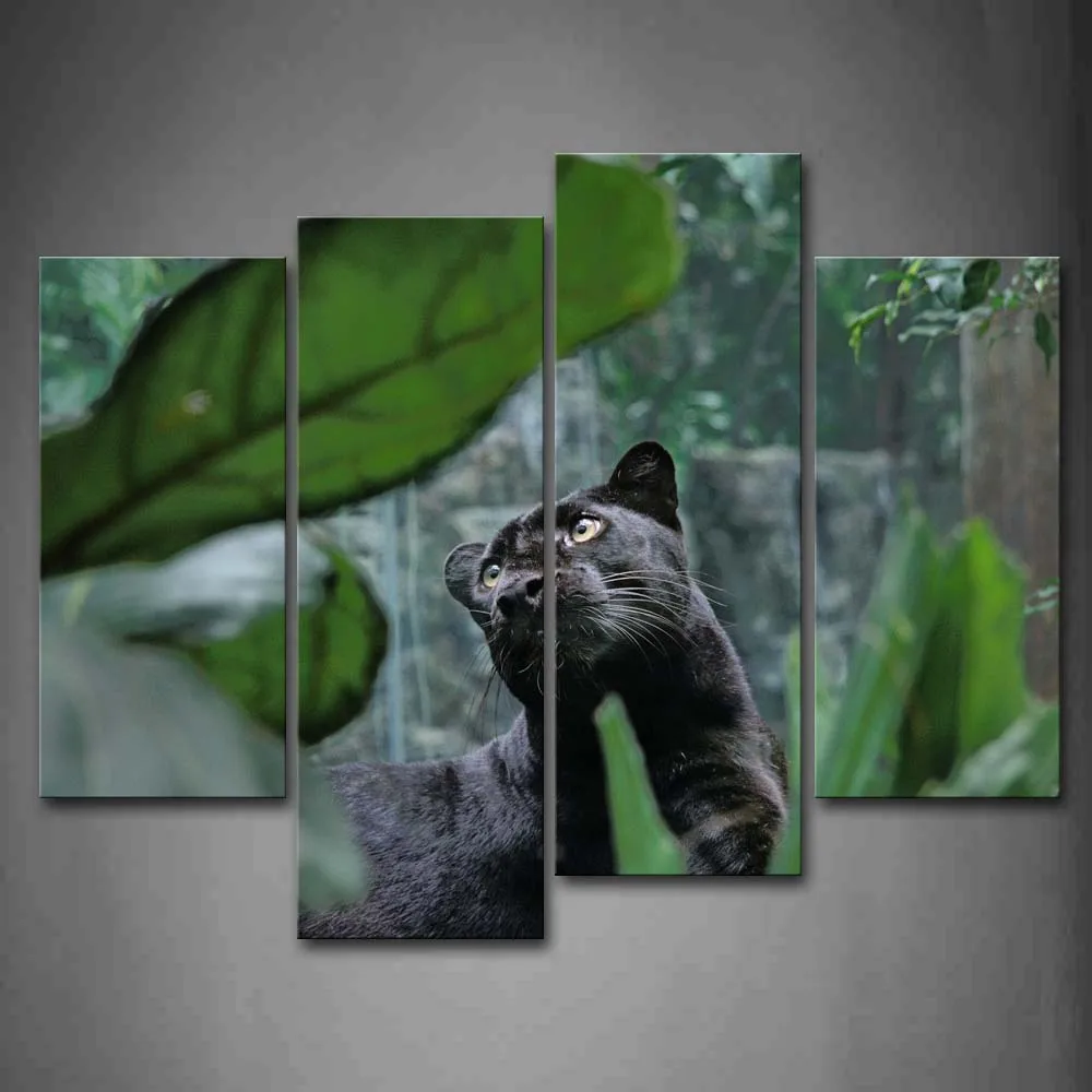 

Framed Wall Art Pictures Panther Tree Canvas Print Animal Poster With Wooden Frame For Home Living Room And Office Decor