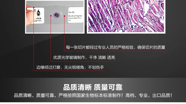 100 шт Профессиональная подготовленная патологическая микроскопа слайды для медицинского университета научная биология Исследования