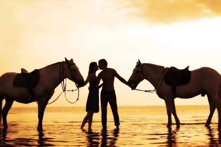 Best Selling 2015 Couple Kiss Romance Sea Horses Wall Decals Art Poster Custom Home Decor | Дом и сад