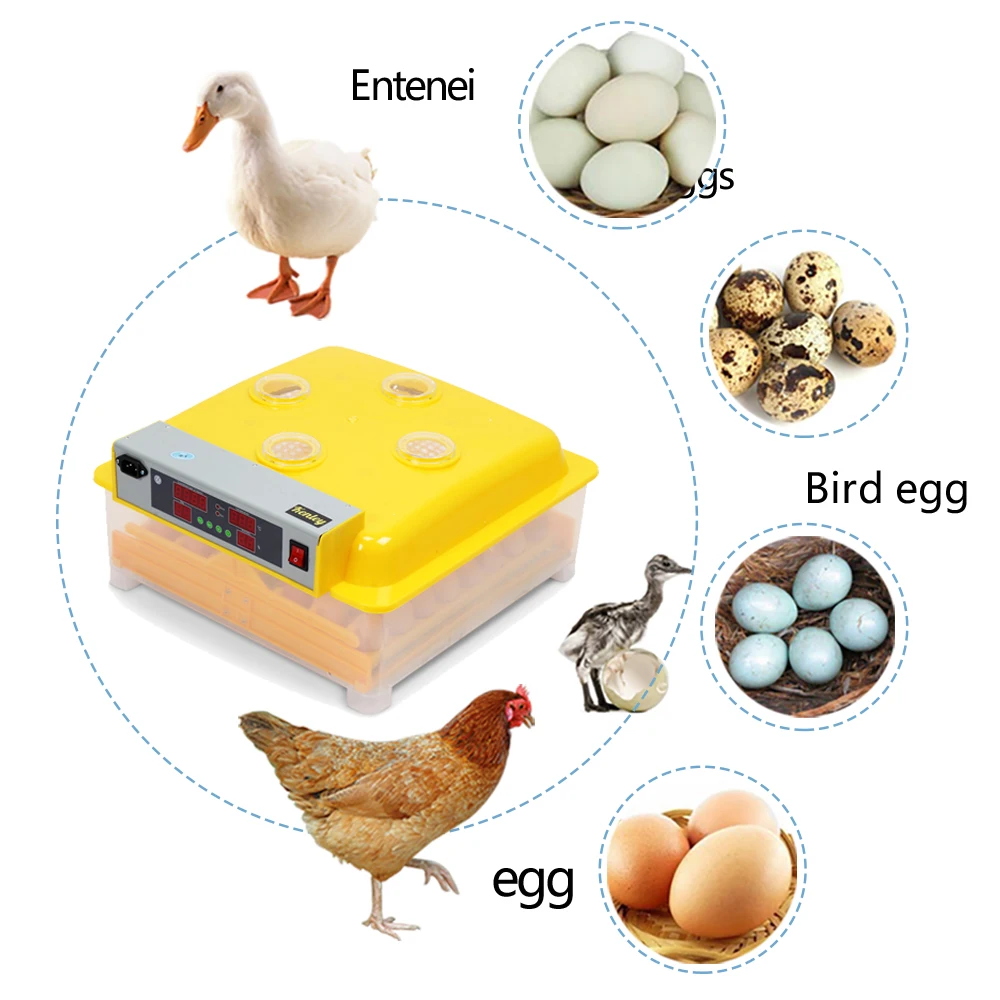 Лидер продаж! Большой емкости 48 яиц инкубатор автоматический птицы яйцо инкубатор прозрачный чехол Цифровой светодиодный дисплей ZZ-48