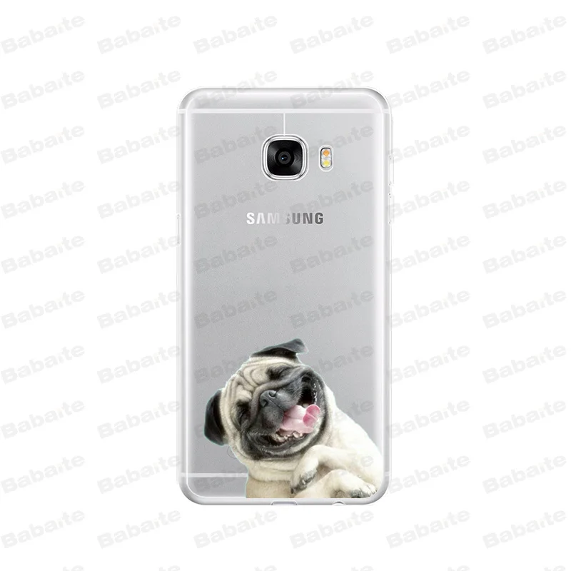 Cute  French Bulldog cartoon dog and cat