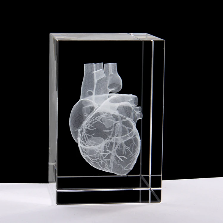 3D стереоскопическая Хрустальная внутренняя резьба человеческое сердце анатомическая модель 50*50*80 мм