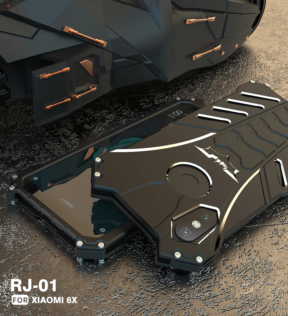 6X_01