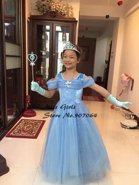 EMS DHL/ ; модное летнее платье в стиле «Золушка»; нарядное платье принцессы для маленьких девочек; ограниченный выпуск; шикарное бальное платье Снежной королевы для Хеллоуина