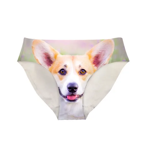 Cute Welsh Corgi Puppy G-String Panties