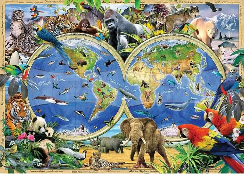 animals map