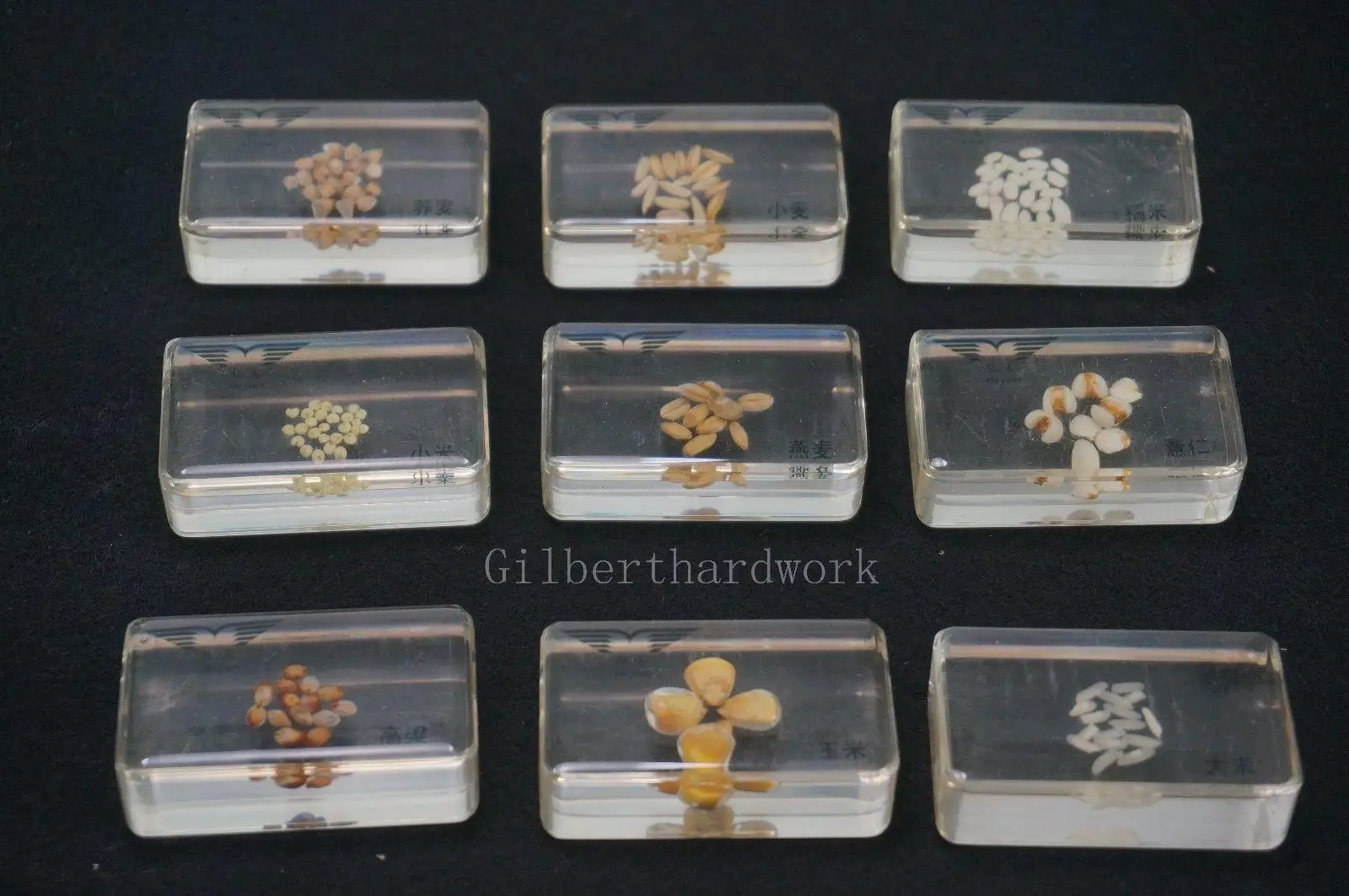 

9 Grain Collection Set Grain Specimens In Clear Lucite Block
