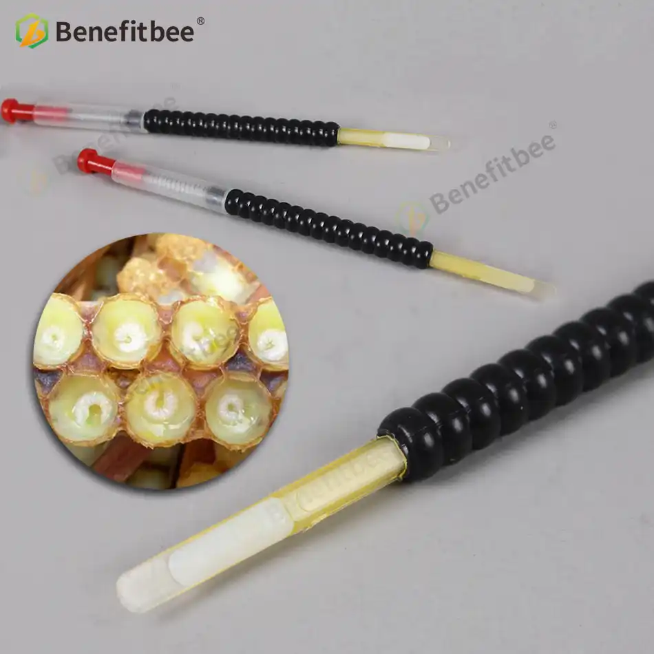 2-Head Bee Rear Transfer Stainless Needle Hive Queen Grafting Beekeeping Needle