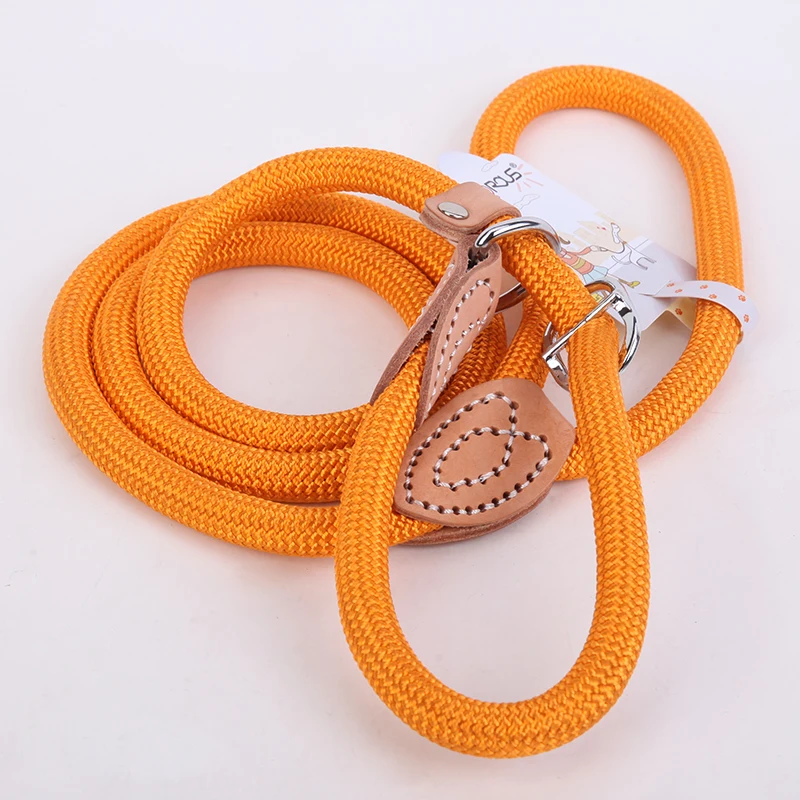 dog leash orange