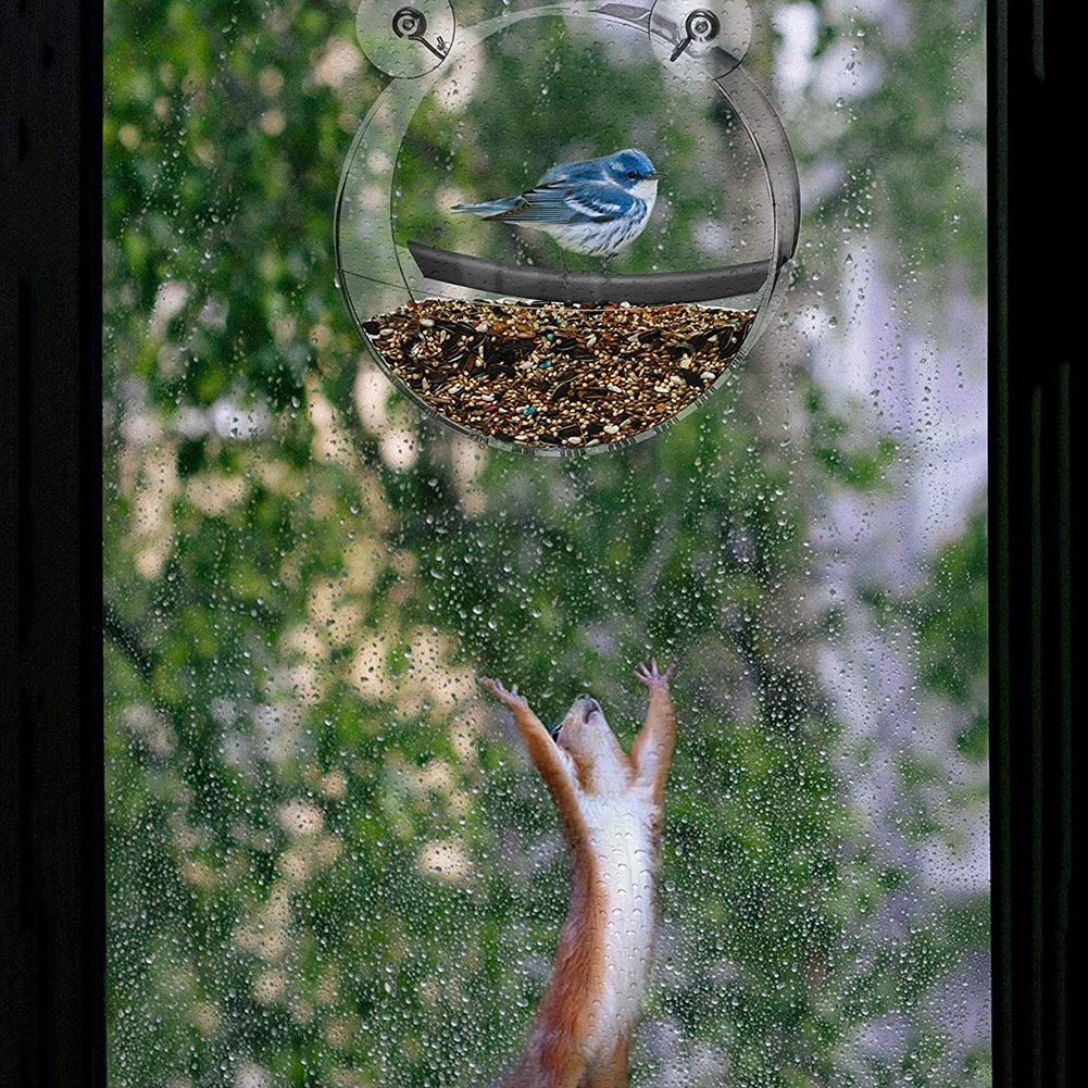 Bird Feeder Acrylic Transparent Food Box Round Hanging Sparrow Parrot Seed Peanut Feeding Bird House Window Suction Cup Tool