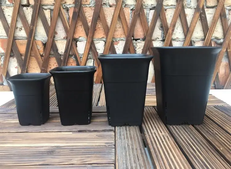 

Square Vientiane Pots.Black Frosted Plastic Flower Pot.Multi-Meat Pots.Green Planting.Potted Orchids