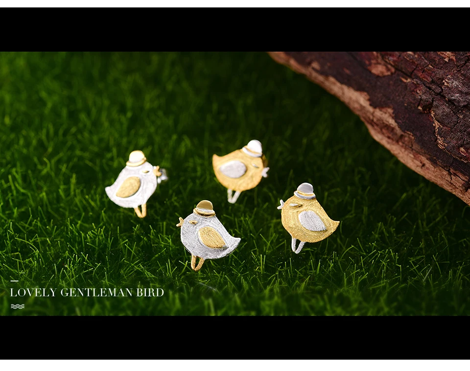 LFJA0075A-Lovely-Gentleman-Bird_02