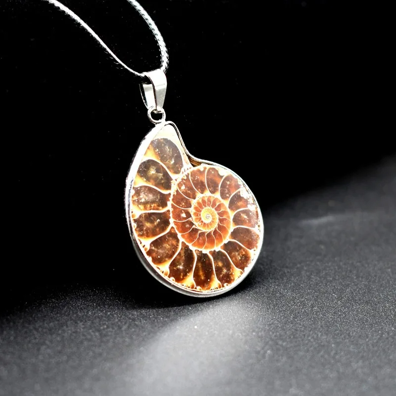 

Natural Stone Ammonite Fossils Seashell Snail Pendants Ocean Reliquiae Conch Animal Necklaces Statement Men women Charm jewelry