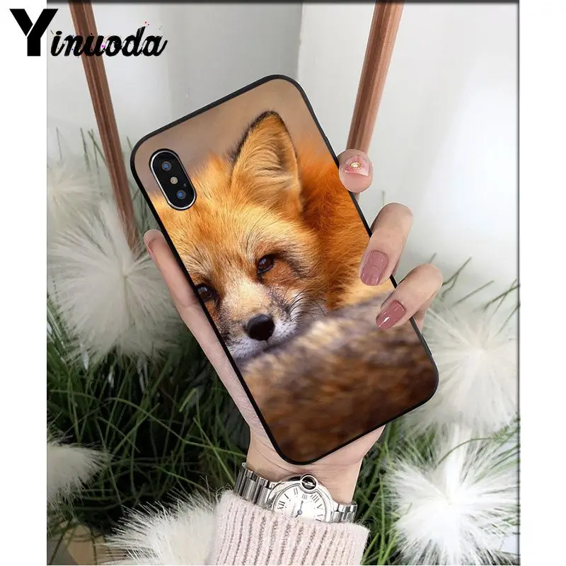 Yinuoda аниме лиса Забавный foxs милый мягкий Силиконовый ТПУ чехол для телефона iPhone 5