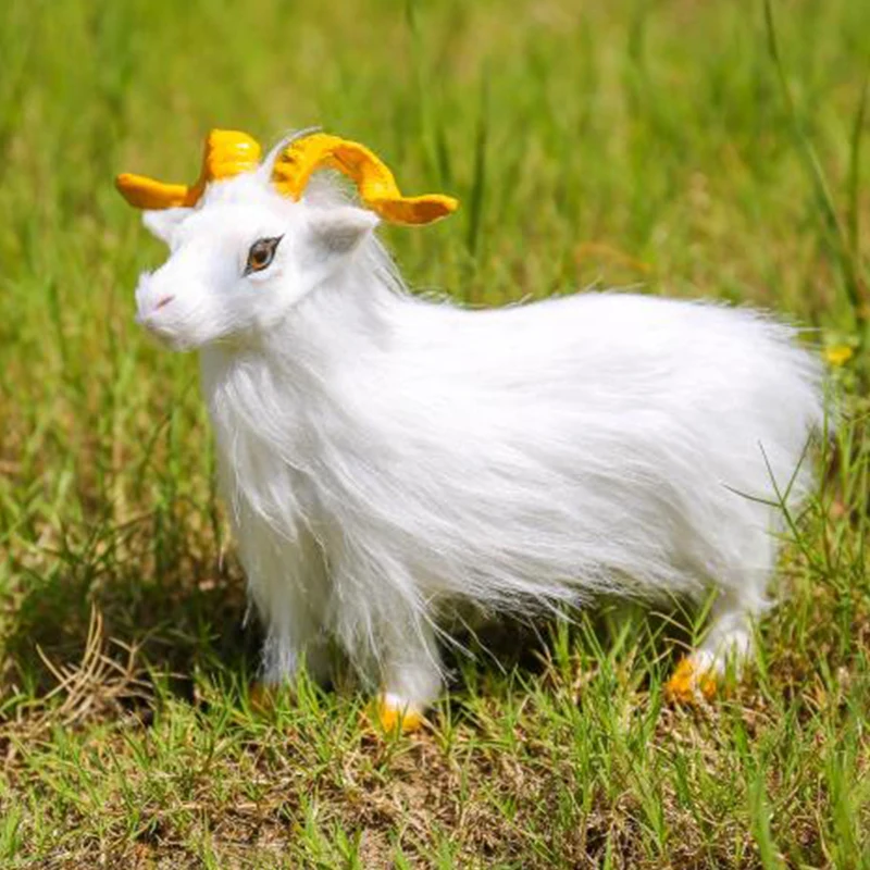 baby goat toy