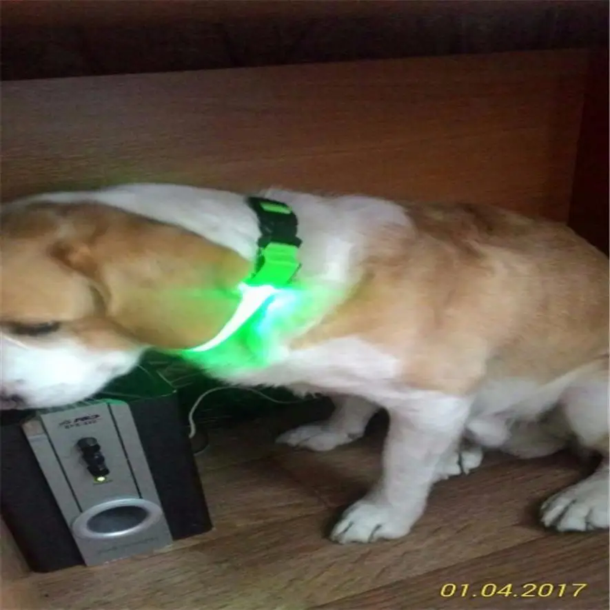 LLH50615321Y_20171124030045558