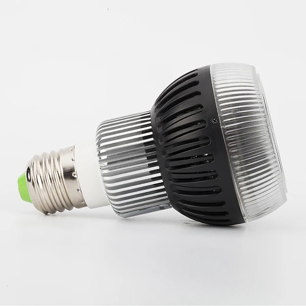 IMG_2479