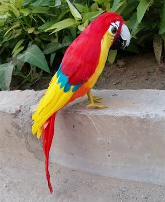 ת××× × ×§×©×ר×