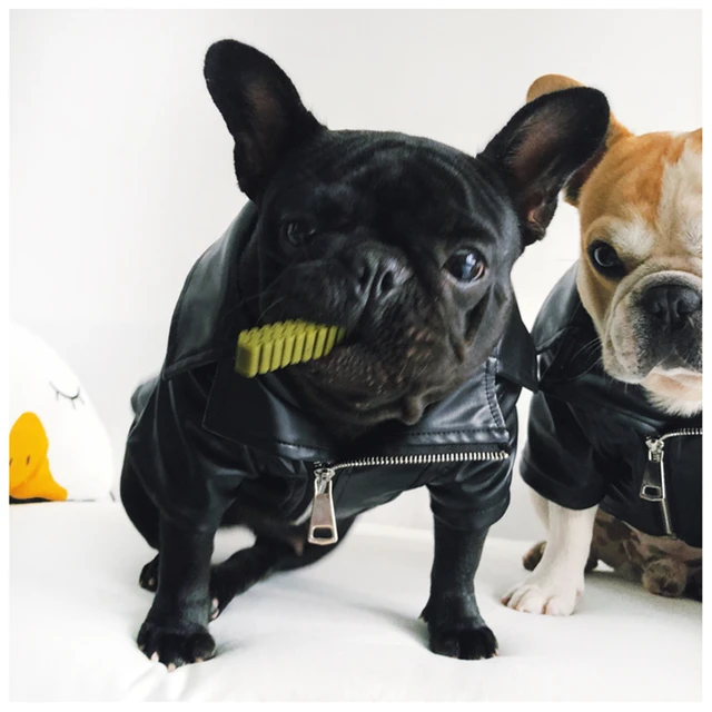 [MPK Dog Winter Wear] Cool Looking Dog Jacket, Flannel Soft Woven Fabric on the inside, Polyurethane Leather on the outside 6
