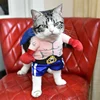 Boxer Cosplay Costumes