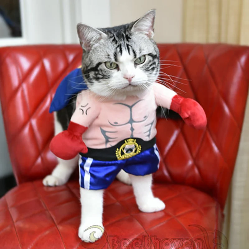 Funny Dog Cat Costumes Boxer Cosplay Suit Pet Clothing Halloween Christmas Uniform Clothes For Puppy Dogs Costume for a cat Funny Dog Cat Costumes Boxer Cosplay Suit Pet Clothing Halloween Christmas Uniform Clothes For Puppy Dogs Costume for a cat