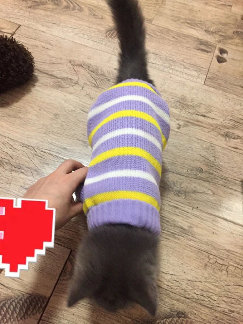[MPK Cat Wear] очаровательные свитера для кошек, новая серия SWZ, одежда для кошек для холодного сезона