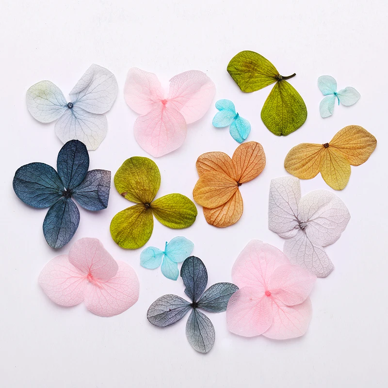Сушеные цветы 3D наклейки для ногтей s Гортензия цветочный дизайн ногтей украшения красивые наклейки для ногтей для маникюра дизайн ногтей