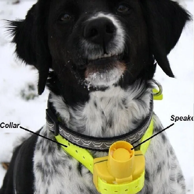 Waterproof Hunting Dog Beeper Collar Pet Dog Training Collar Built in