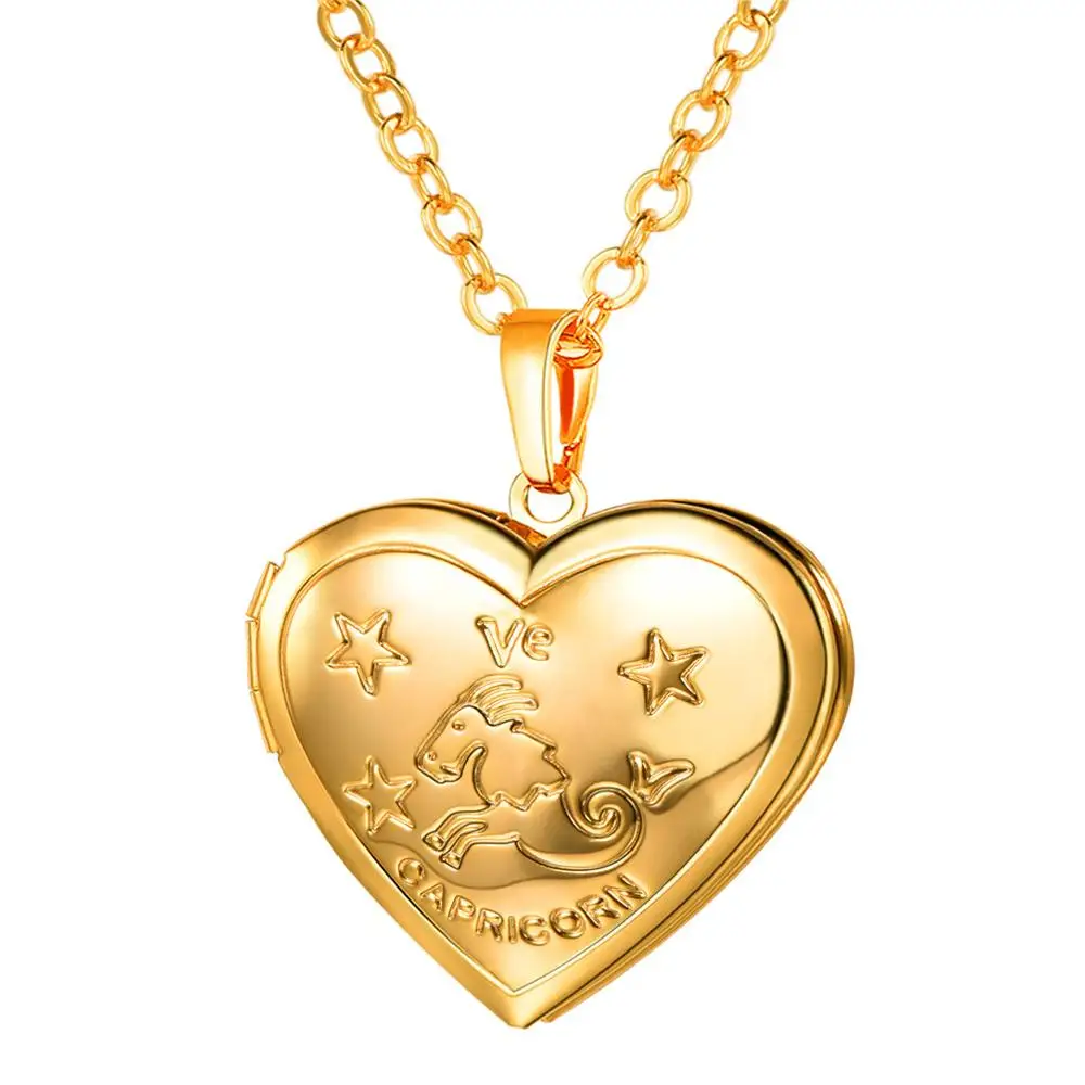 Ожерелье со скорпионом сердце кулон с фото ожерелье золото/серебро Цвет Зодиак Шарм память медальон ожерелье подарок для женщин P3214 - Окраска металла: Capricorn