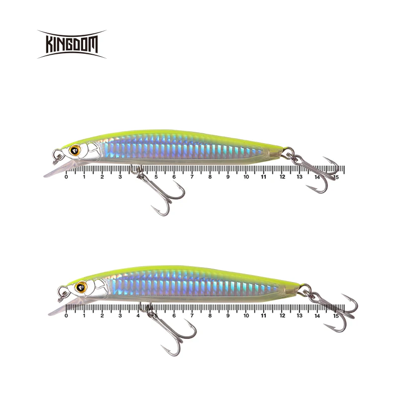 المملكة Jerkbait الاصطناعي الصيد إغراء المتذبذب الطعوم الثابت 120 مللي متر 23g/130 مللي متر 30g أسماك Crankbait البحر الصيد الطعم باس إغراء المملكة Jerkbait الاصطناعي الصيد إغراء المتذبذب الطعوم الثابت 120 مللي متر 23g/130 مللي متر 30g أسماك Crankbait البحر الصيد الطعم باس إغراء