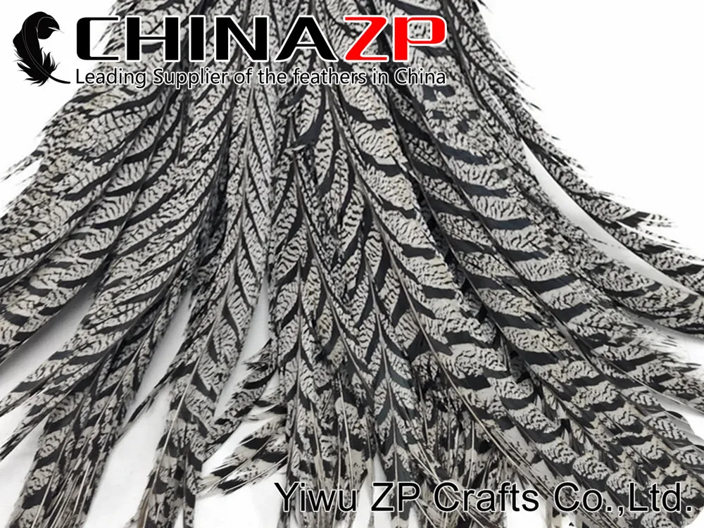 Tail Feathers, 10 Pieces - 30-35 ZEBRA Black and White Lady Amherst Pheasant Tail Feathers 2