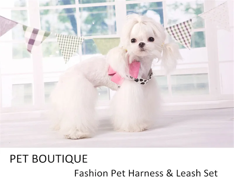 Dog Harness Small  (1)