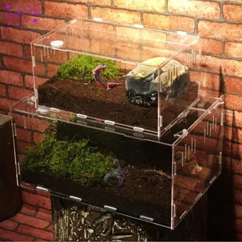 

1PCS Crawler Box Acrylic Spider Ant Lizard Horned Frog Tortoise Gecko Feeding Reptile