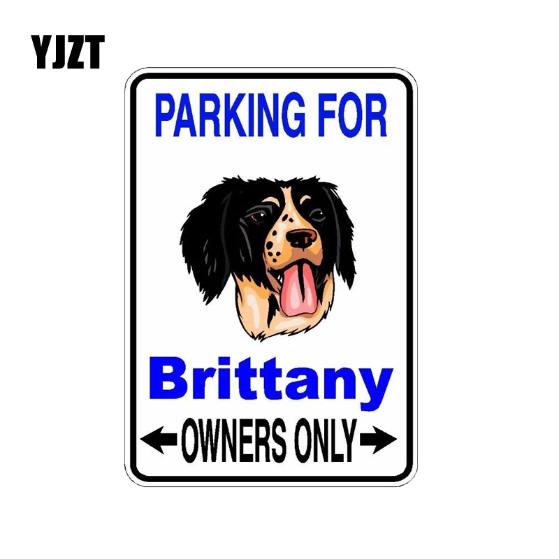 YJZT 10*14 2 см бреттань фото собаки|car sticker|car decoration stickersdecoration car |