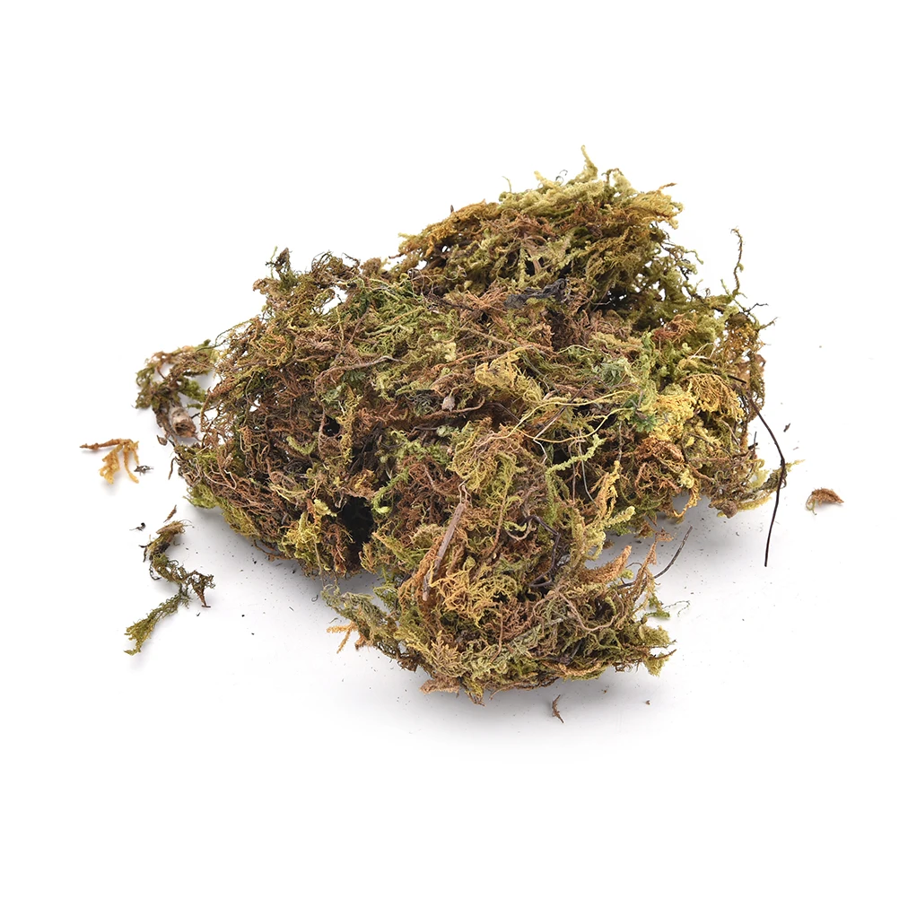 10g/bag Keep Dry Moss Decorative Plants Vase Artificial Turf Silk Flower Accessories For Flowerpot Decoration Home Ornaments