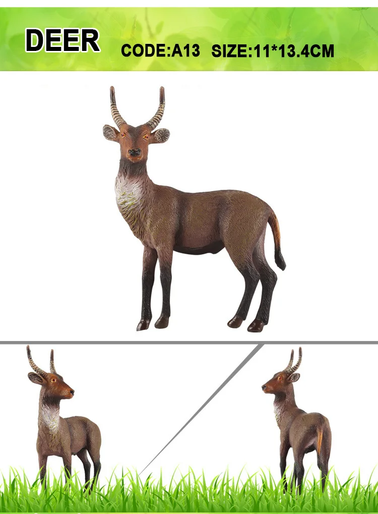 DEER