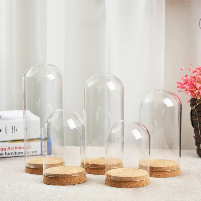 6 X Europe Large Gl Cloche Bell Jar Dome With Cork Base U Shape 6 X Europe Large Gl Cloche Bell Jar Dome With Cork Base U Shape Plant Terrarium