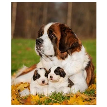 Фото на заказ Сделай Сам Алмазная вышивка крестиком, собака сенбернар ПЭТ 5d алмазная вышивка полный квадратный Стразы Z1261