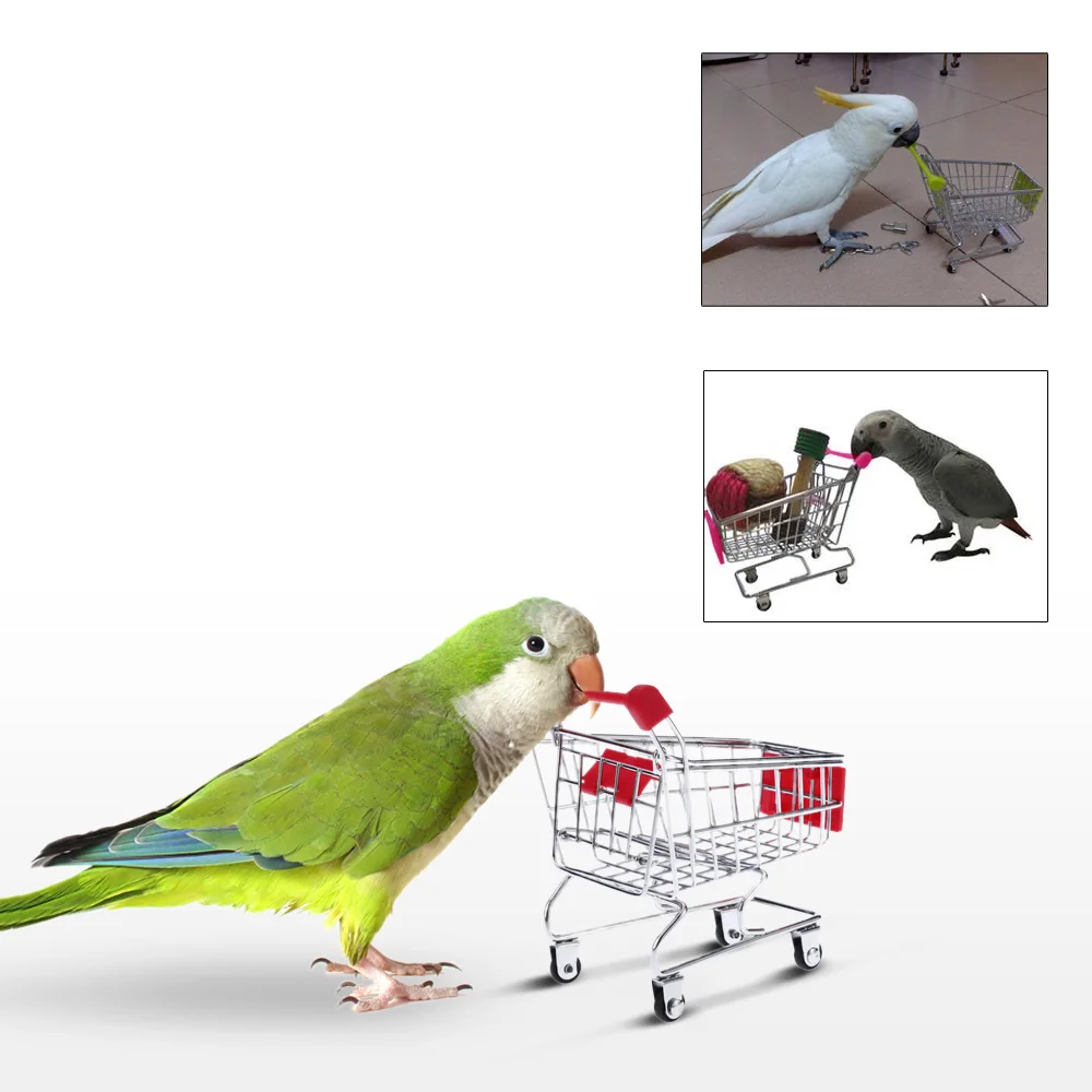 cute bird toys