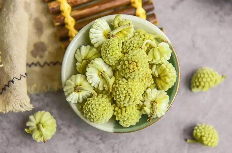 HTB1JoN.uyMnBKNjSZFzq6A_qVXaC