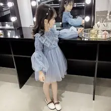 Новинка года; кружевное Сетчатое платье для маленьких девочек; сезон весна-осень Детские платья принцессы с вышивкой для девочек; Одежда для маленьких девочек; Vestidos L269